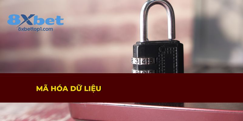8XBET bảo mật thông tin bằng công nghệ mã hóa dữ liệu